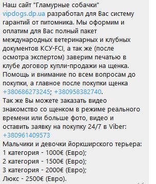 Скрин моей переписки с официальным приютом