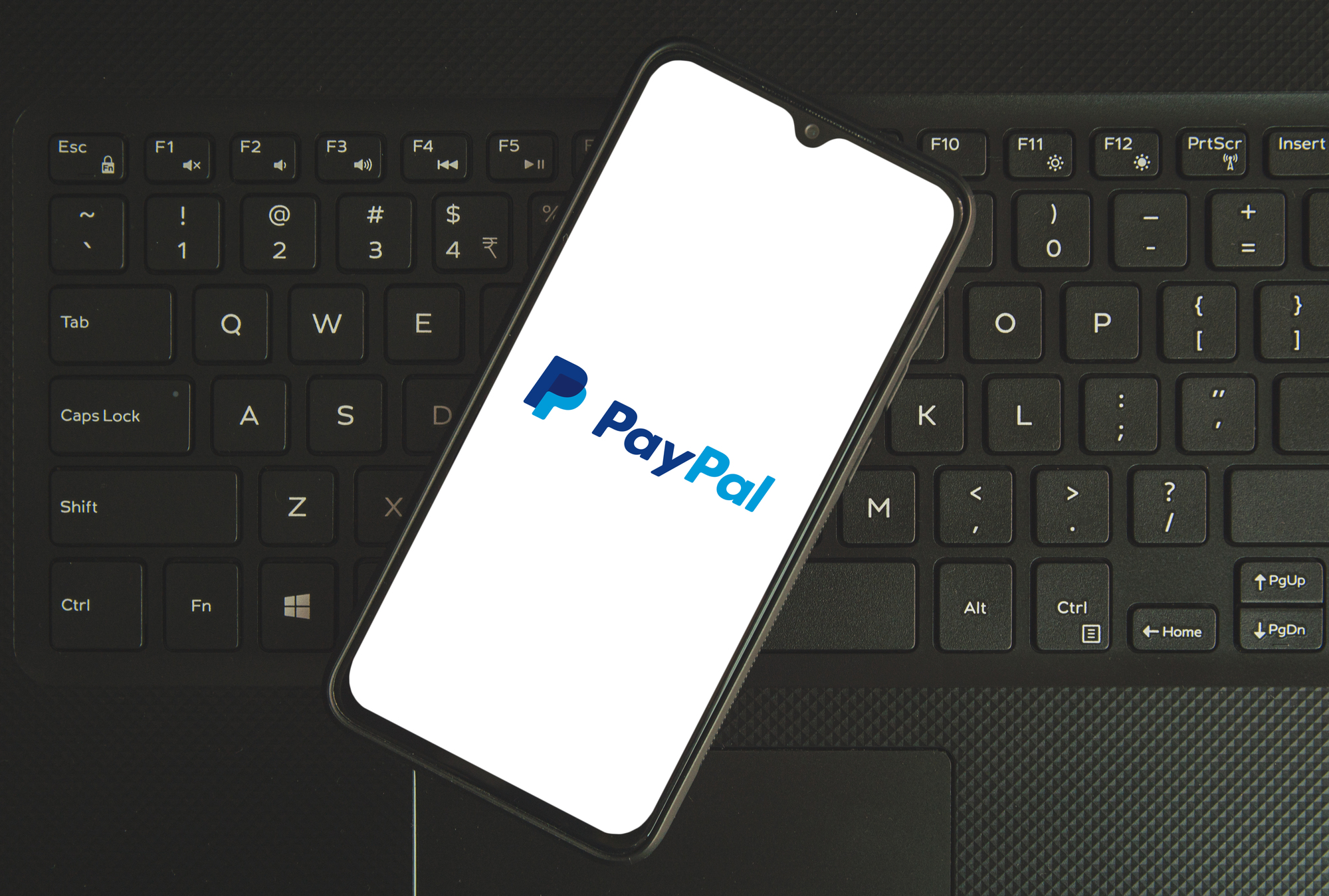 PayPal
