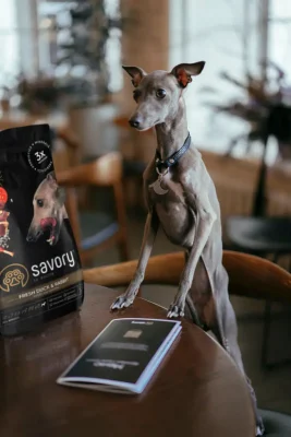 Корм Savory та собака