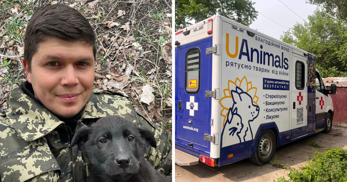 Олександр Тодорчук, засновник UAnimals